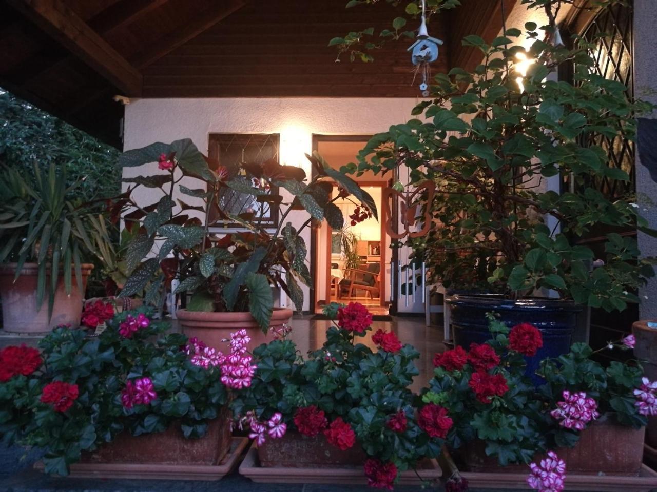 Apartment Haus Merlin Am Boeckelsberg Weimar  Eksteriør billede
